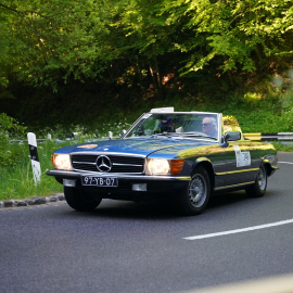 248_DSC06380