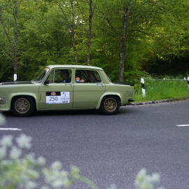 250_DSC06439